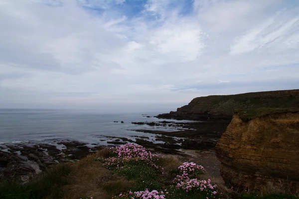 Bude Cornwall yakınındaki kıyı şeridi üzerinde göster — Stok fotoğraf
