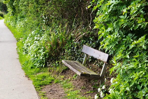 Empty bench found on a country walk — Stock Photo, Image