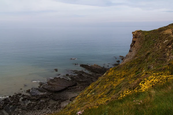 Переглянути панорамою узбережжя поблизу Widemouth Bay в Корнуоллі — стокове фото