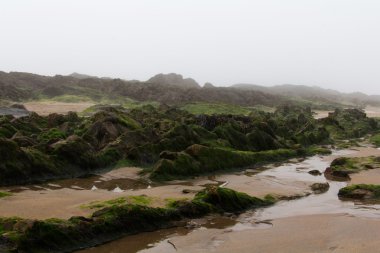 Kayalarda sol sarmalına gelgit tarafından su
