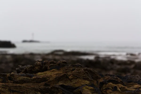 Wellen über die Felsen am Strand — Stockfoto