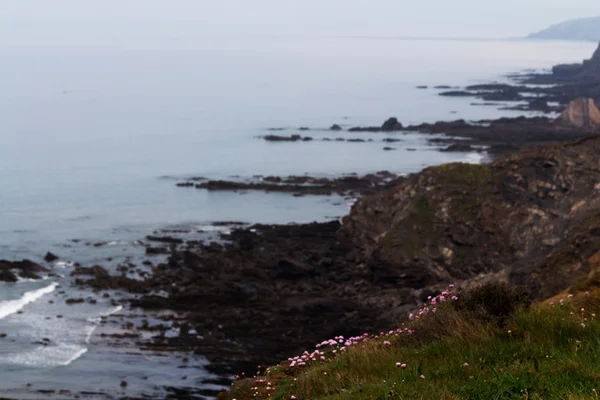 Vista dal sentiero costiero tra Widemouth Bay e Bude — Foto Stock