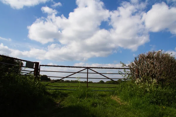 Puerta metálica vieja en un seto con cielo azul —  Fotos de Stock