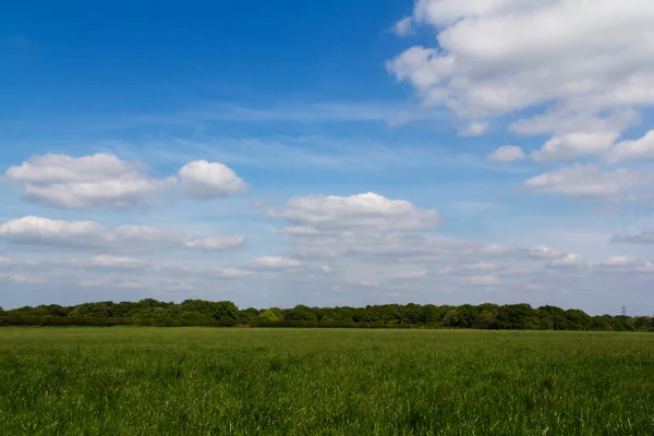 Vista sobre el paisaje Chilterns en Inglaterra — Foto de Stock