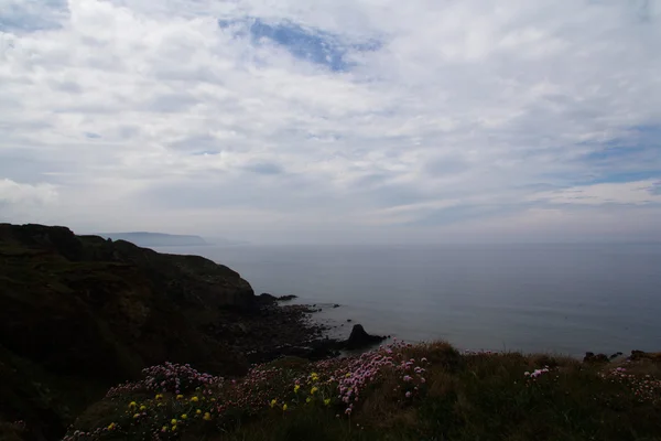 Вид з прибережних стежок між Widemouth затокою і Bude — стокове фото