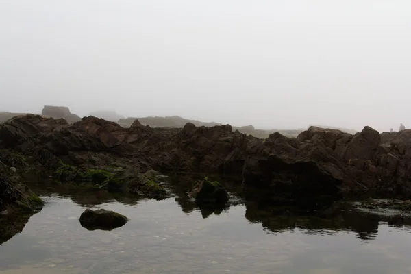 Água encalhada nas rochas pela maré baixa — Fotografia de Stock