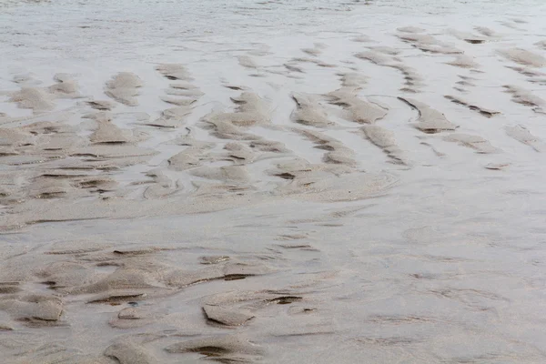 ビーチでの濡れた砂のクローズ アップ — ストック写真