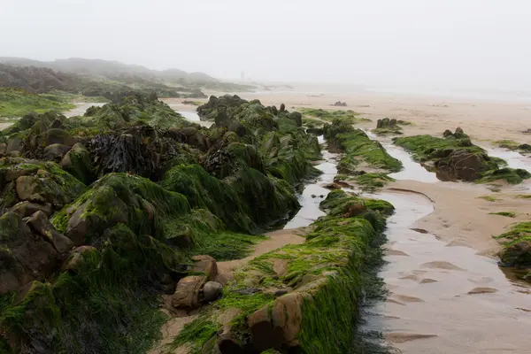 Wasser, das bei Ebbe in den Felsen gestrandet ist — Stockfoto