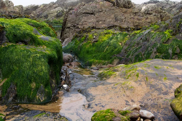 Eau laissée échouée dans les rochers par marée basse — Photo