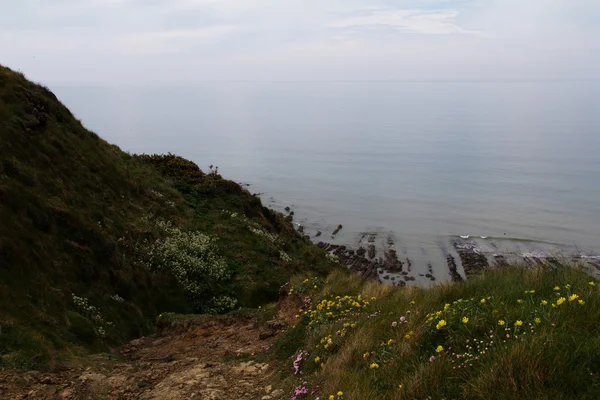 Вид з прибережних стежок між Widemouth затокою і Bude — стокове фото