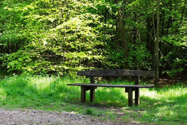 Chilterns ormanda boş tezgah