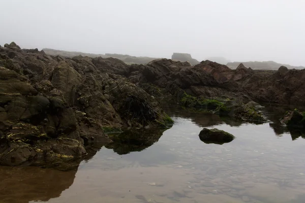 Eau laissée échouée dans les rochers par marée basse — Photo