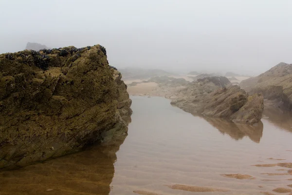 Скалы на берегу с морским туманом на заднем плане — стоковое фото