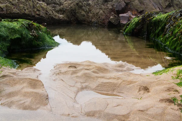 Água encalhada nas rochas pela maré baixa — Fotografia de Stock