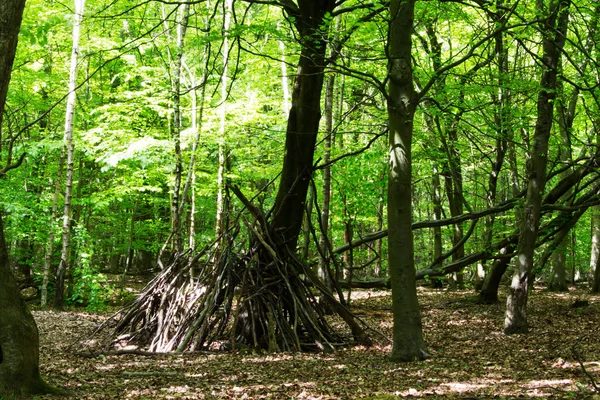 Building camp out of branches in the woods — Stock Photo, Image