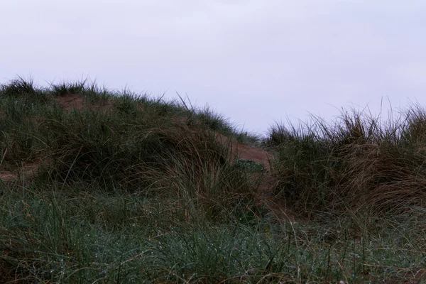 Uitzicht vanaf de duinen bij het eerste licht — Stockfoto