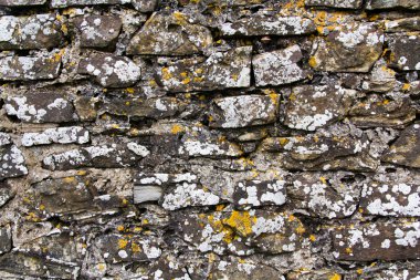 Bir eski rustik görünümlü taş duvar yakın çekim