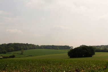 Buckinghamshire, İngiltere'de Chilterns manzara üzerinde göster