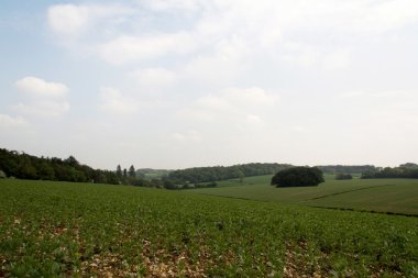 Buckinghamshire, İngiltere'de Chilterns manzara üzerinde göster