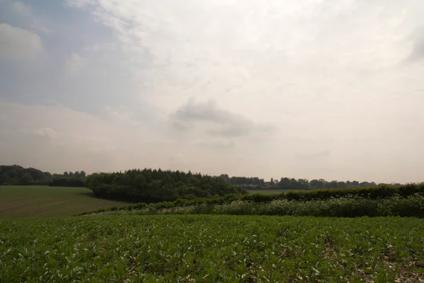 Pohled přes Chilterns krajina v Buckinghamshire, Anglie — Stock fotografie