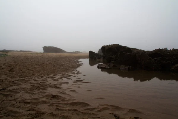 Rochers sur le rivage avec brume marine en arrière-plan — Photo