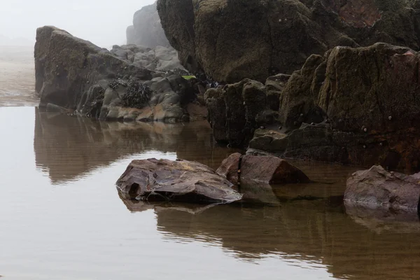 Pedras na costa com névoa do mar no fundo — Fotografia de Stock