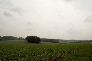 Buckinghamshire, İngiltere'de Chilterns manzara üzerinde göster
