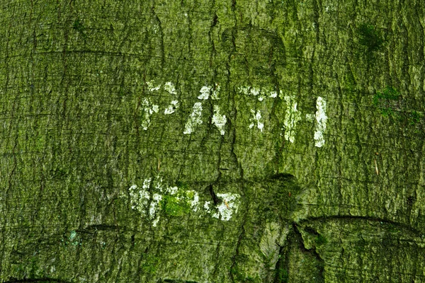 Sinal de caminho pintado em um tronco de árvore — Fotografia de Stock