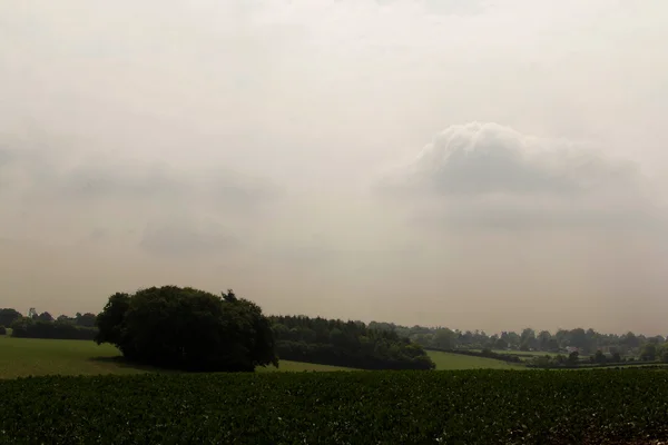 Vista sobre el paisaje Chilterns en Buckinghamshire, Inglaterra — Foto de Stock