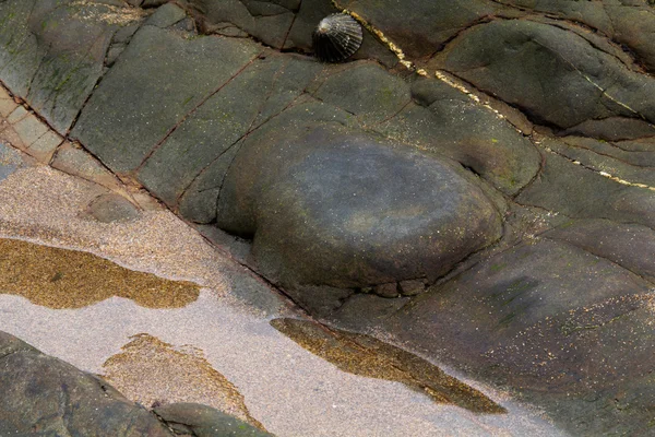 Areia molhada e rochas na praia — Fotografia de Stock
