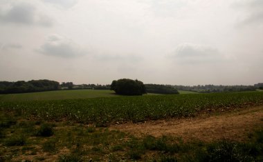 Buckinghamshire, İngiltere'de Chilterns manzara üzerinde göster