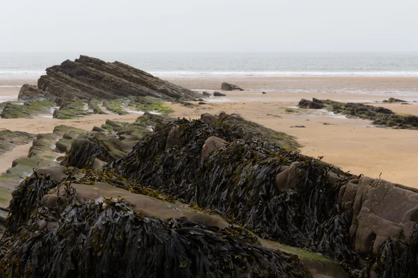 Скелі на узбережжі у місті Bude, Cornwall — стокове фото