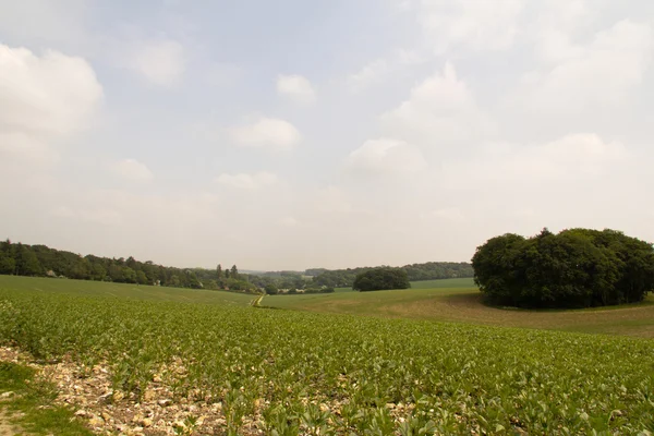 Pohled přes Chilterns krajina v Buckinghamshire, Anglie — Stock fotografie