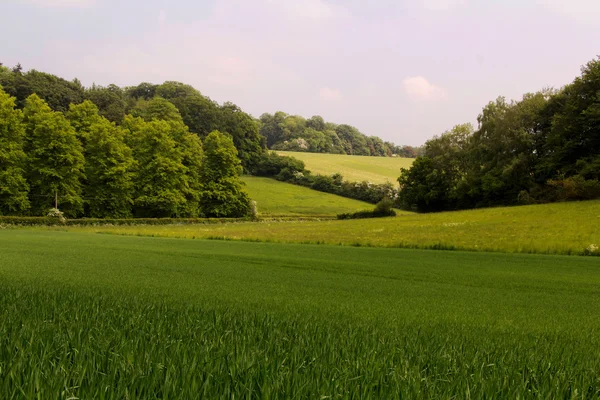 Buckinghamshire, İngiltere'de Chilterns manzara üzerinde göster — Stok fotoğraf
