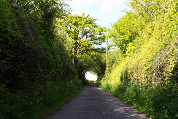 Feldweg mit Hecken auf beiden Seiten — Stockfoto