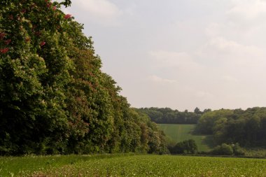 Buckinghamshire, İngiltere'de Chilterns manzara üzerinde göster