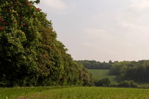 Vue sur le paysage Chilterns dans le Buckinghamshire, Angleterre — Photo