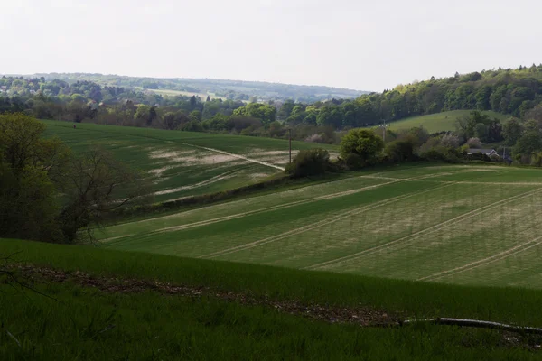 Uitzicht over het landschap Chilterns in Engeland — Stockfoto