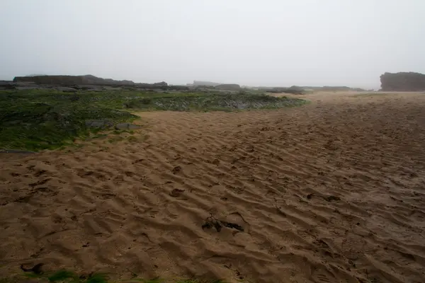 Stenar på stranden med sea mist i bakgrunden — Stockfoto