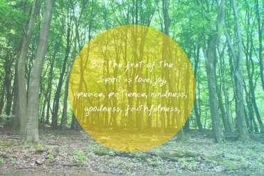 Bulanık bir arka plan üzerinde İncil'den ilham ayet