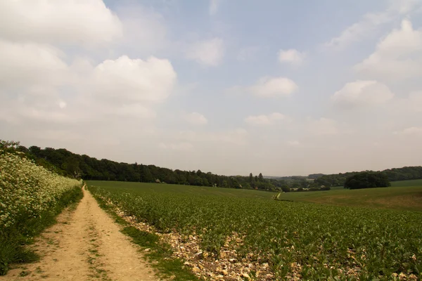 Pohled přes Chilterns krajina v Buckinghamshire, Anglie — Stock fotografie