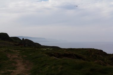 Widemouth Bay ve Bude arasındaki kıyı yolundan görüntülemek