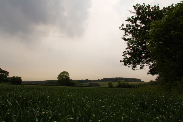 View over the English countryside in the Chilterns — Stock Photo, Image