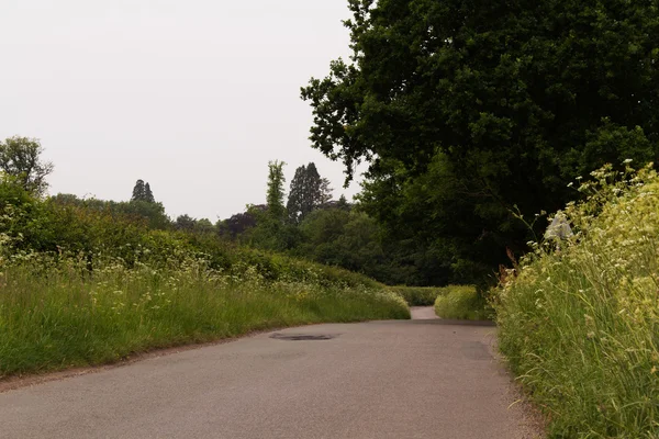 Engelska trädkantade lane kommer genom landskapet — Stockfoto