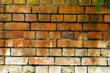 eski bir tuğla duvarına yakın çekim