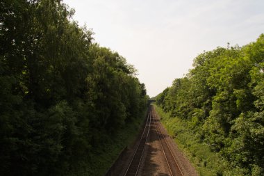 Her tarafta ağaçları ile demiryolu hattı üzerinden görüntülemek