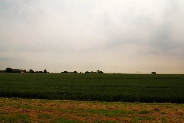 Chilterns İngilizce kırsal üzerinde göster — Stok fotoğraf