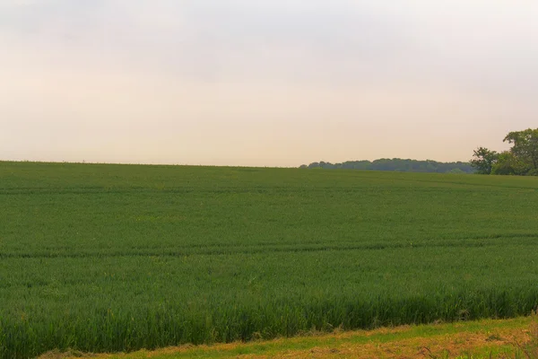 Blick über die englische Landschaft in den Kinderzimmern — Stockfoto