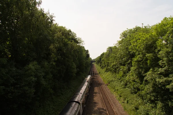 それぞれの側に木がある鉄道の線路の上を表示します。 — ストック写真