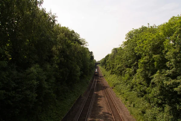 それぞれの側に木がある鉄道の線路の上を表示します。 — ストック写真
